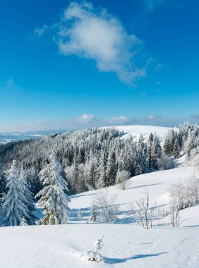 Kış sakin dağ manzarası güzel süs ağaçları ve snowdrifts yamaç (Karpat Dağları, Ukrayna)