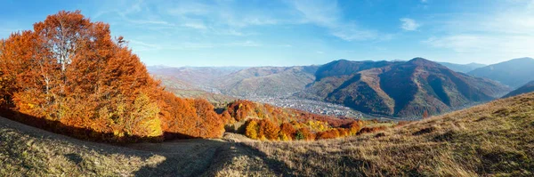 Sonbahar Karpat Dağları Yatay Çok Renkli Sarı Turuncu Kırmızı Kahverengi — Stok fotoğraf