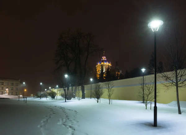 乌克兰 利沃夫 2016年11月13日 圣乔治大教堂和安德烈 Sheptytsky 纪念碑 在利沃夫市中心 美丽的冬夜景观 — 图库照片