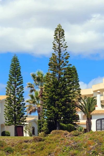 Algarve Portugal Mayo 2016 Casa Orilla Del Verano Árboles Siempreverdes —  Fotos de Stock