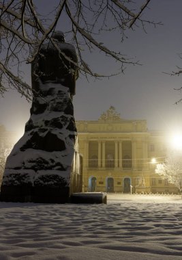 Lviv, Ukrayna - 13 Kasım 2016: Ivan Franko anıt ve Lviv Ulusal Üniversitesi ana bina. Güzel bir gece kış cityscape Lviv merkezi City.