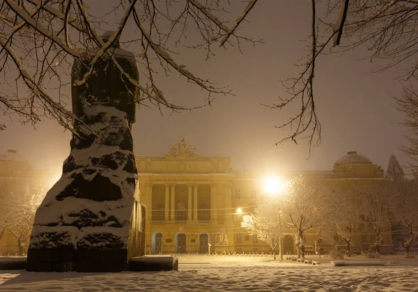 Lviv Ukraine November 2016 Ivan Franko Monument National University Lviv — Stock Photo, Image