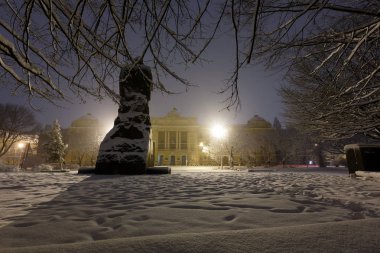 Lviv, Ukrayna - 13 Kasım 2016: Ivan Franko anıt ve Lviv Ulusal Üniversitesi ana bina. Güzel bir gece kış cityscape Lviv merkezi City.