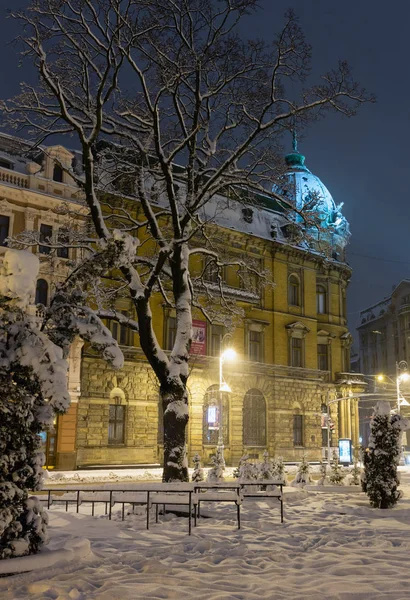 Lvov Ukrajina Února 2018 Krásná Noc Zimní Panorama Městě Centra — Stock fotografie