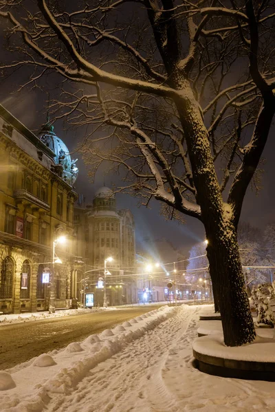 Lviv, Ukrayna - 04 Şubat 2018: Güzel gece kış cityscape Lviv merkezi City. Bazı objektif parlama flrom lambaları ve kar taneleri kullanılabilir.