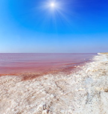 Söylediğin son derece tuzlu Syvash Gölü kristal tuz ifadeleri ile mikroalg tarafından renkli, pembe. Olarak da bilinen Putrid deniz veya Rotten deniz. Ukrayna, Kherson Region, Crimea ve Arabat tükürük.