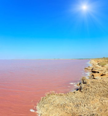 Söylediğin son derece tuzlu Syvash Gölü kristal tuz ifadeleri ile mikroalg tarafından renkli, pembe. Olarak da bilinen Putrid deniz veya Rotten deniz. Ukrayna, Kherson Region, Crimea ve Arabat tükürük.