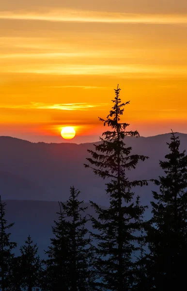 Paisagem Pôr Sol Colorido Primavera Montanhas Dos Cárpatos Ucrânia Europa — Fotografia de Stock