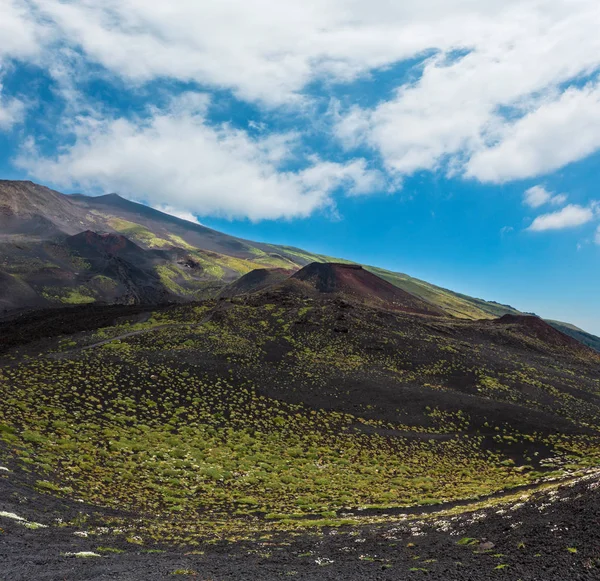 Path Summer Etna Volcano Mountain Craters Sicily Italy — Stock Photo, Image