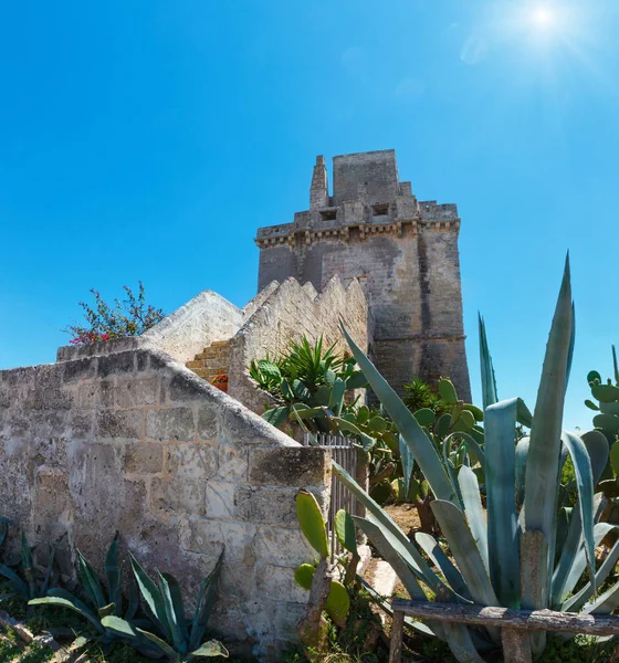 Güzel Güneşli Tarihi Hisar Kale Kule Torre Colimena Salento Yon — Stok fotoğraf