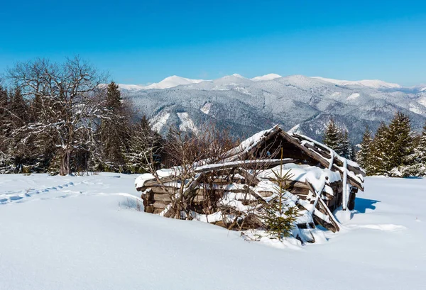 Pittoresca Vista Sulle Montagne Invernali Dal Pendio Skupova Ucraina Vecchio — Foto Stock