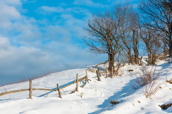 Vinter Morgon Landskap Pittoreska Berg Landsbygdens Snötäckta Sökväg Och Fotavtryck — Stockfoto