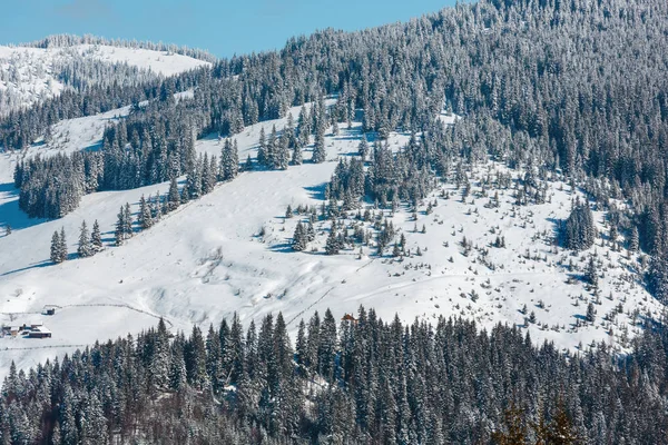 Pittoresca Giornata Sole Invernale Carpazio Vista Montagna Dal Pendio Skupova — Foto Stock