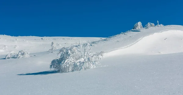 Invierno Tranquilo Paisaje Montaña Con Hermosos Árboles Glaseado Ventisqueros Pendiente —  Fotos de Stock