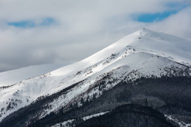 Sahne pitoresk alp dağ sırtı (Ukrayna, Karpat Dağları, Chornohora aralığı, Dzembronya Köyü ilçe sınırı hills huzur huzurlu görünümünden sabah kış kar kaplı).