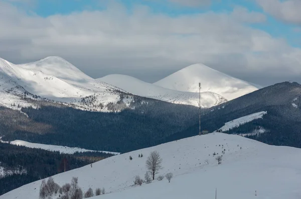 朝の冬の雪カバーの風景美しいアルプの山の尾根 ウクライナ カルパティア山脈 Chornohora の範囲 Dzembronya の村の郊外の丘から長閑な静けさ — ストック写真