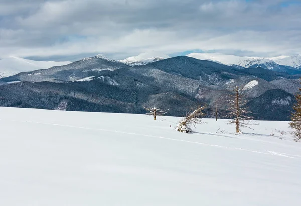 Pittoresca Vista Sulle Montagne Invernali Dal Pendio Della Skupova Con — Foto Stock
