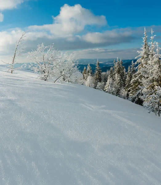 Winter Ruhige Berglandschaft Mit Schönen Frostbäumen Und Schneeverwehungen Hang Karpaten — Stockfoto