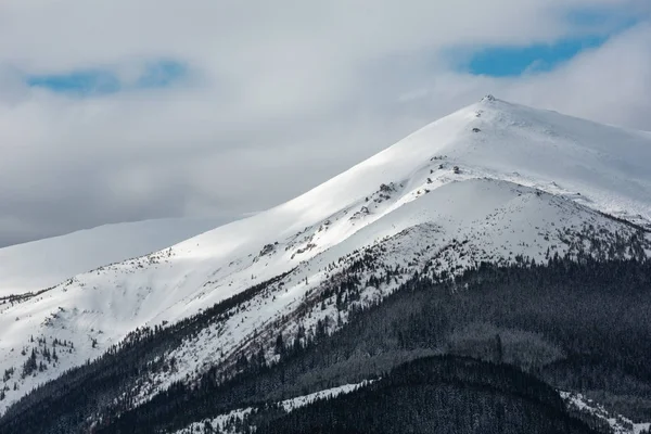 Mattina Inverno Neve Coperta Scenario Pittoresco Cresta Alpina Montagna Ucraina — Foto Stock