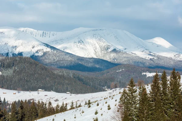 Matin Hiver Paysage Enneigé Pittoresque Crête Des Montagnes Alpines Ukraine — Photo