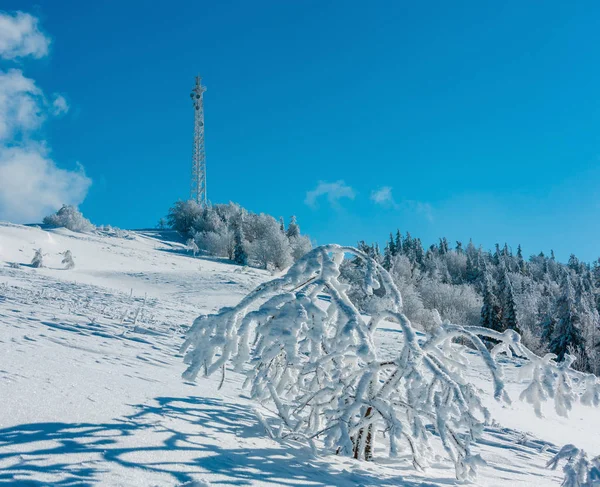 Гарні Зимовий Паморозь Глазур Дерев Спілкування Вежі Снігові Замети Вершині — стокове фото