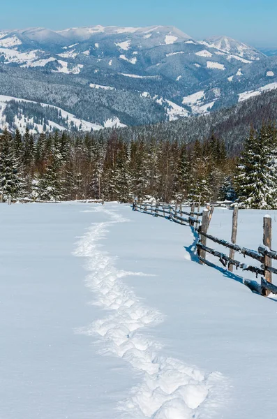 Vista Pitoresca Montanha Manhã Inverno Caminho Alpino Com Pegada Skupova — Fotografia de Stock