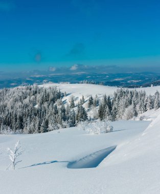 Kış dağ manzarası ile ağaçlar ve snowdrifts. Harika alan derinliği ile yüksek tanınabilir dikiş görüntü (kabul edilebilir netlikte başlıyor zone kristal kar taneleri ön).