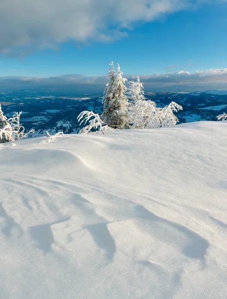 Evening winter calm mountain landscape with beautiful frosting trees and snowdrifts on slope (Carpathian Mountains, Ukraine)