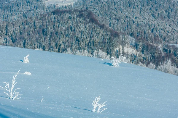 Ochtend Winter Rust Berglandschap Met Mooie Glazuur Bomen Sneeuwlaag Helling — Stockfoto