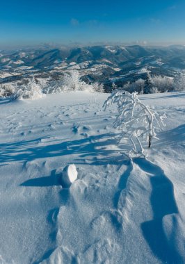 Kış dağ manzarası ile ağaçlar ve snowdrifts. Harika alan derinliği ile yüksek tanınabilir dikiş görüntü (kabul edilebilir netlikte başlıyor zone kristal kar taneleri ön).