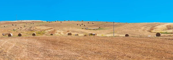 Mooie Landschap Van Sicilië Zomer Platteland Italië Vier Schoten Steek — Stockfoto