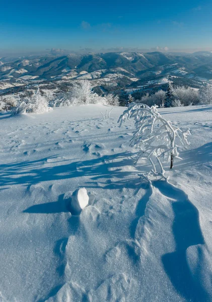 Paisagem Montanha Inverno Com Árvores Geada Nevascas Imagem Ponto Reconhecível — Fotografia de Stock