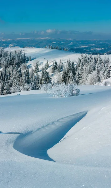 木と斜面の吹きだまりをフロスティングと冬の穏やかな山の風景 偉大な被写し界深度と高い認識スティッチ画像 許容可能なシャープのゾーンは結晶雪から始まる — ストック写真
