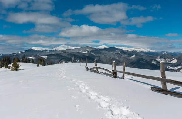 风景如画的冬山景观从高山路径与足迹 Skupova 乌克兰 Chornohora Pip 伊万山顶 — 图库照片