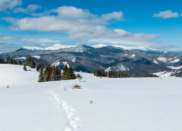 Vista Pitoresca Montanha Inverno Caminho Alpino Com Pegada Skupova Encosta — Fotografia de Stock