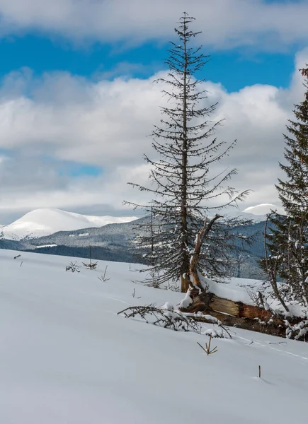 Pintoresca Vista Montaña Invierno Desde Ladera Montaña Skupova Con Algunos — Foto de Stock