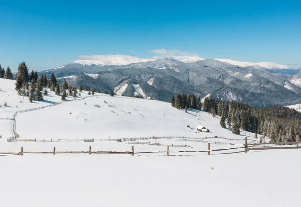 风景如画的雪冬山坡和孤独的农舍在高原农庄 在乌克兰 Chornohora 山脊全景和 Pip 的伊万山与天文台顶部在云层后面 — 图库照片