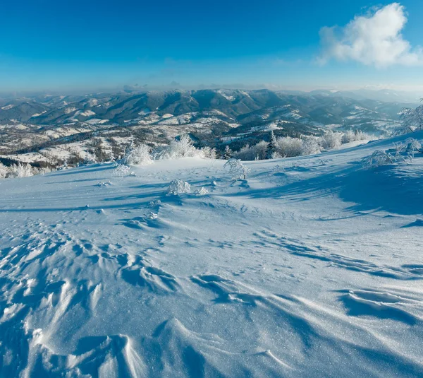 Mañana Invierno Tranquilo Paisaje Montaña Con Hermosos Árboles Glaseado Ventisqueros —  Fotos de Stock