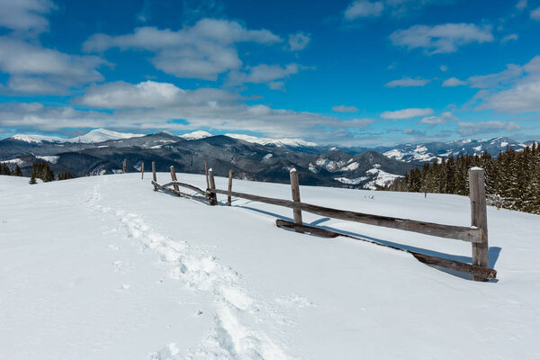 Picturesque winter mountain view from alpine path with footprint. Skupova mountain slope, Ukraine, view to Chornohora ridge and Pip Ivan mountain top, Carpathian.