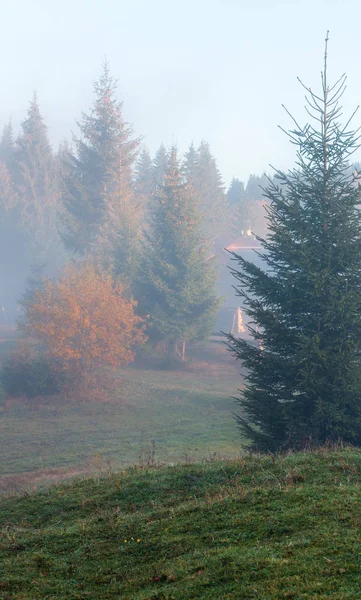 Niebla Matutina Las Laderas Los Cárpatos Ivano Frankivsk Oblast Ucrania —  Fotos de Stock