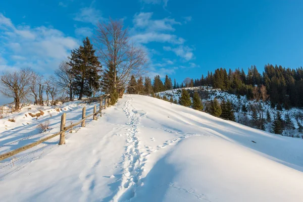 Winter Morning Scenery Picturesque Mountain Rural Snow Covered Path Footprint — Stock Photo, Image