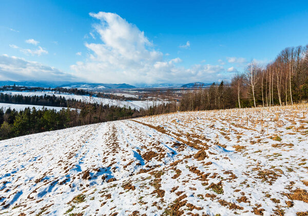 Winter mountain landscape with field on hill slope, birch grove and village in far (Bogorodchany district, Ivano-Frankivsk region, Ukraine)