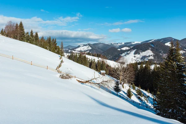 冬の朝美しい山ヒルトップ農場の雪で覆われて いくつか枯れた防風林 ウクライナ カルパティア山脈 静かな静かな Dzembronya 村郊外 — ストック写真