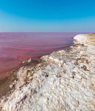 Son derece tuzlu Syvash Gölü kristal tuz ifadeleri ile mikroalg tarafından renkli, pembe. Olarak da bilinen Putrid deniz veya Rotten deniz. Ukrayna, Kherson Region, Crimea ve Arabat tükürük.