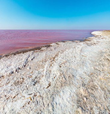 Son derece tuzlu Syvash Gölü kristal tuz ifadeleri ile mikroalg tarafından renkli, pembe. Olarak da bilinen Putrid deniz veya Rotten deniz. Ukrayna, Kherson Region, Crimea ve Arabat tükürük.