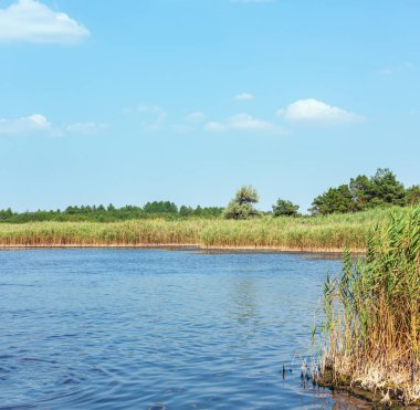 Yaz Pryschukove mavi göl manzara (Kherson Region, Ukrayna).