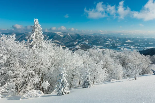 冬天平静的山风景与美丽的结霜树和雪堆在倾斜 乌克兰 — 图库照片