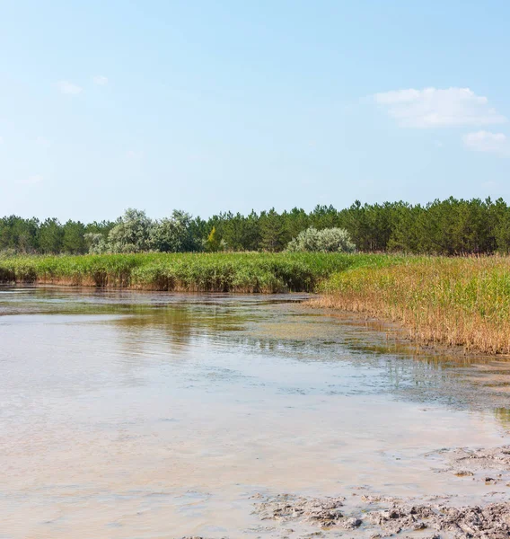 Letní Pryschukove Tmavě Hnědočervené Jódu Jezero Terapeutickým Účinkem Díky Vysokým — Stock fotografie