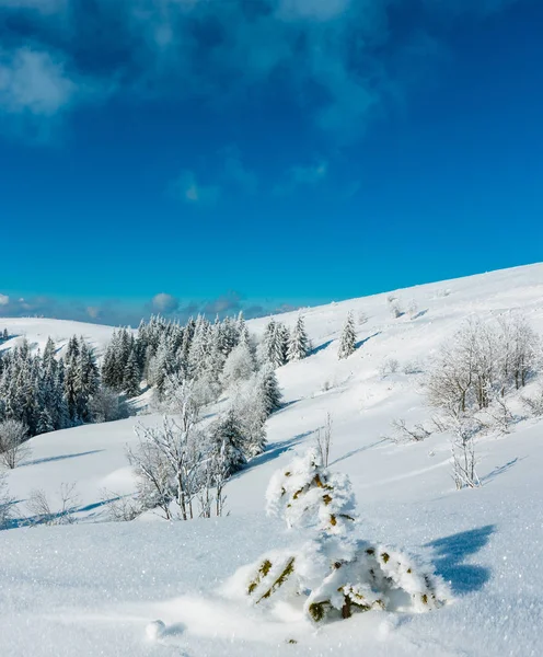 冬天平静的山风景与美丽的结霜树和雪堆在倾斜 乌克兰 — 图库照片