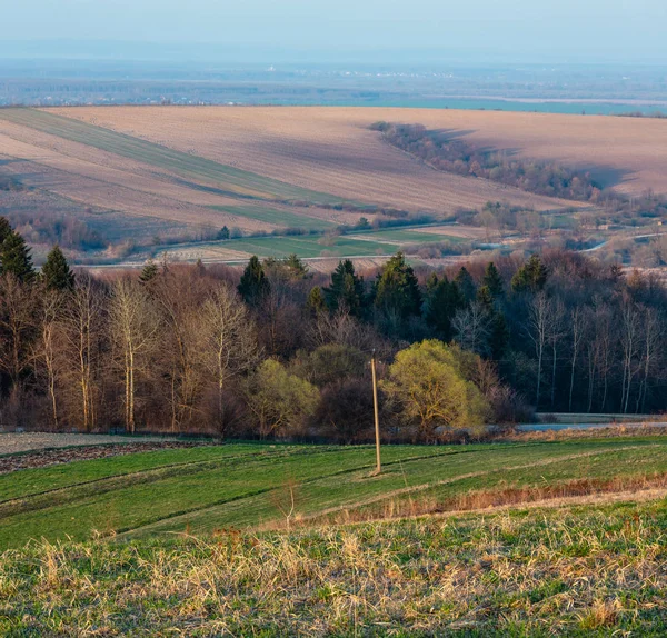 Printemps Matin Paysage Rural Avec Des Champs Agricoles Labourés Sur — Photo